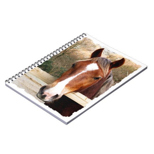 HORSES NOTITIEBOEK (Linkerzijde)