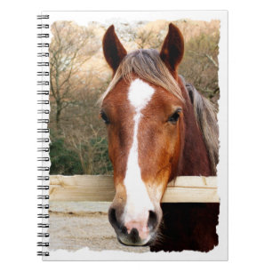 HORSES NOTITIEBOEK