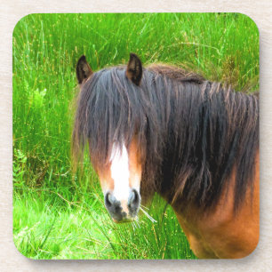 HORSES ONDERZETTER