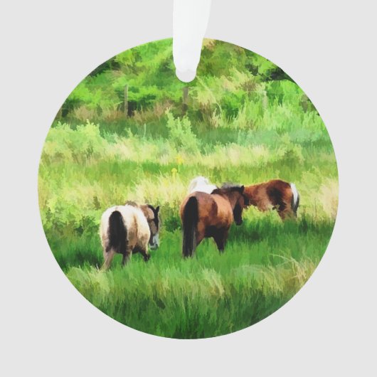 HORSES ORNAMENT (voorkant)