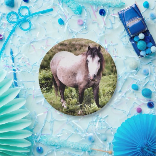 HORSES PAPIEREN BORDJE (Feest)