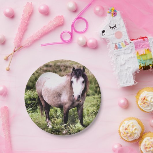 HORSES PAPIEREN BORDJE (Feest)