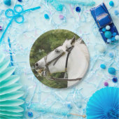 HORSES PAPIEREN BORDJE (Feest)