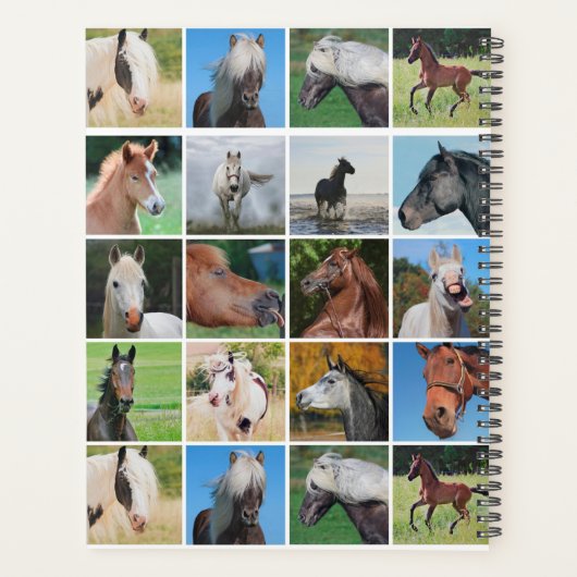 Horses Planner