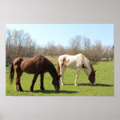Horses Poster (Voorkant)