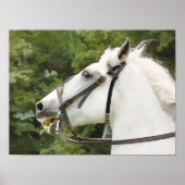 HORSES POSTER (Voorkant)