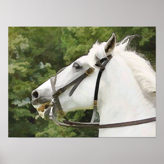 HORSES POSTER (Voorkant)