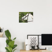 HORSES POSTER (Thuiskantoor)