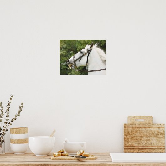 HORSES POSTER (Keuken)