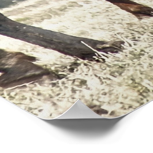 HORSES POSTER (Hoek)