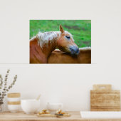 Horses Poster (Keuken)
