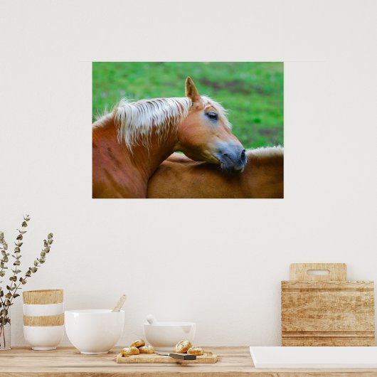 Horses Poster (Keuken)
