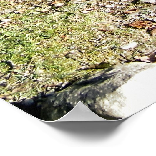 HORSES POSTER (Hoek)