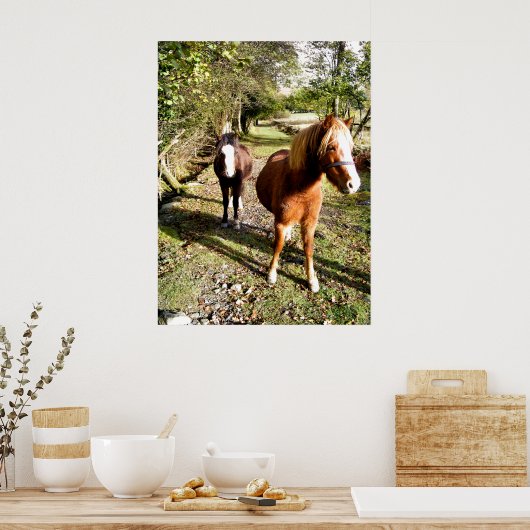 HORSES POSTER (Keuken)