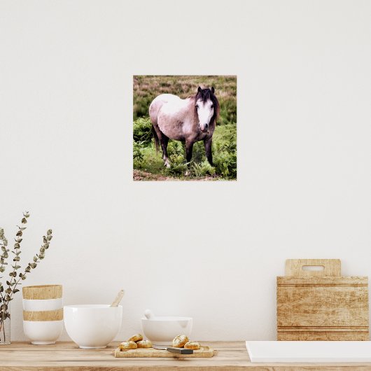HORSES POSTER (Keuken)