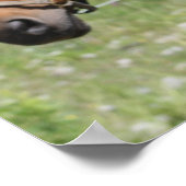 Horses Poster (Hoek)