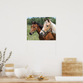 Horses Poster (Keuken)