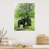 HORSES POSTER (Keuken)