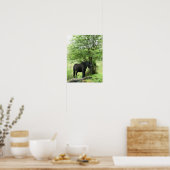 HORSES POSTER (Keuken)