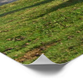 Horses Poster (Hoek)