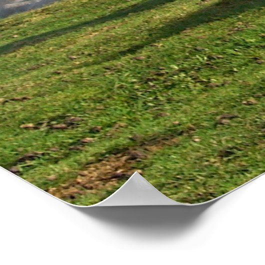 Horses Poster (Hoek)