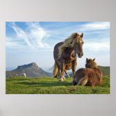 Horses Poster (Voorkant)