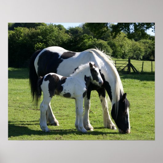 Horses Poster (Voorkant)