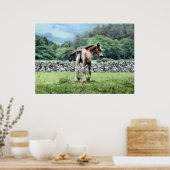 HORSES POSTER (Keuken)