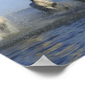 HORSES POSTER (Hoek)