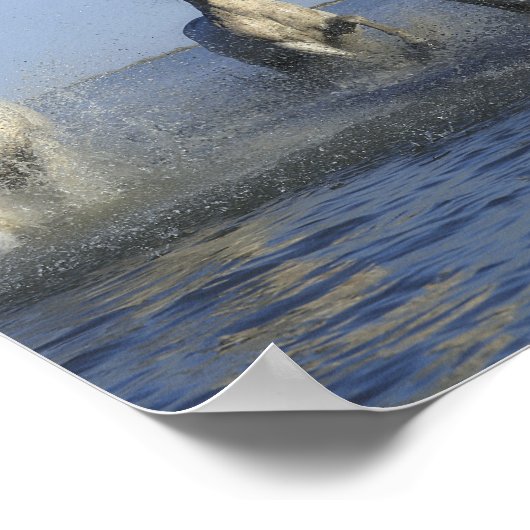 HORSES POSTER (Hoek)