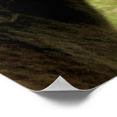 HORSES POSTER (Hoek)