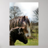 HORSES POSTER (Voorkant)