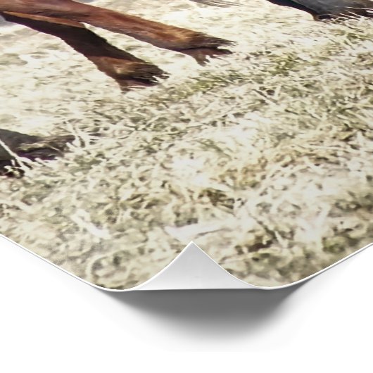 HORSES POSTER (Hoek)