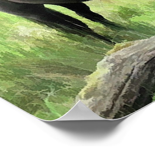 HORSES POSTER (Hoek)