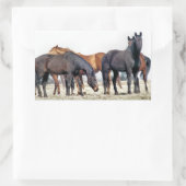 HORSES RECHTHOEKIGE STICKER (Tas)