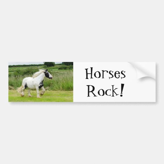 Horses Rock Bumpersticker (Voorkant)