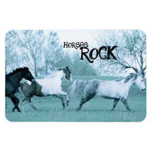 Horses ROCK Magnet Magneet
