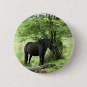HORSES RONDE BUTTON 5,7 CM (Voorkant)