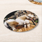 HORSES RONDE KARTONNEN ONDERZETTER (Gebogen)