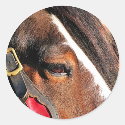 HORSES RONDE STICKER (Voorkant)