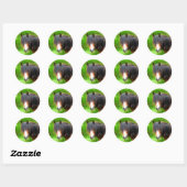 HORSES RONDE STICKER (Vel)