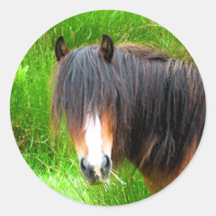 HORSES RONDE STICKER