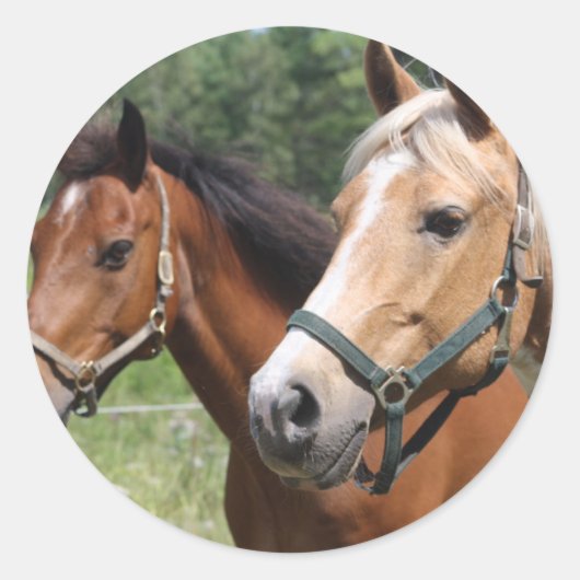 Horses Ronde Sticker (Voorkant)
