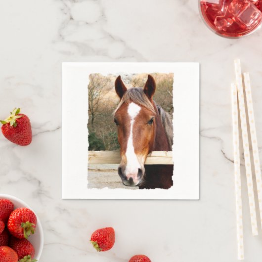 HORSES SERVET (Insitu)