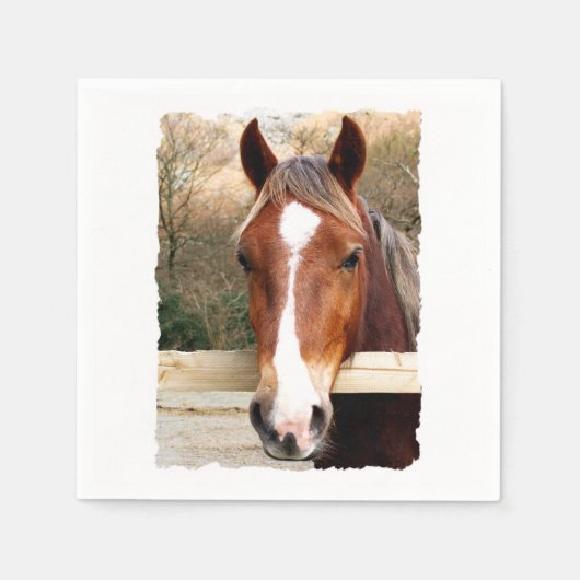 HORSES SERVET (Voorkant)