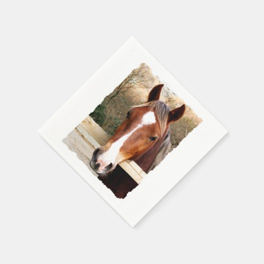 HORSES SERVET (Hoek)