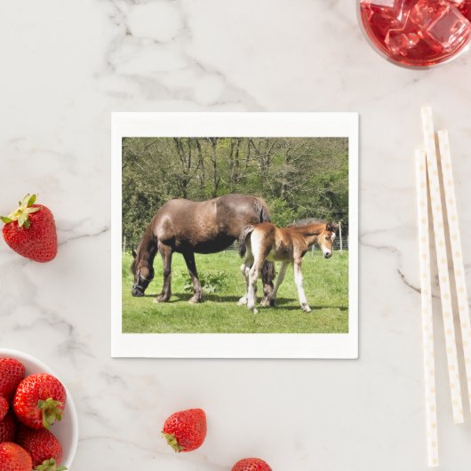 HORSES SERVETTEN (Insitu)