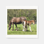 HORSES SERVETTEN (Voorkant)