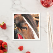 HORSES SERVETTEN (Insitu)