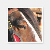 HORSES SERVETTEN (Voorkant)